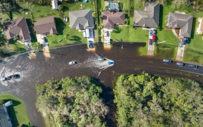 Preventing Mold After a Storm: Tips for Florida Homeowners