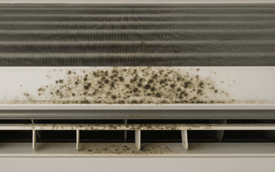 Is Mold in My AC Unit Dangerous?