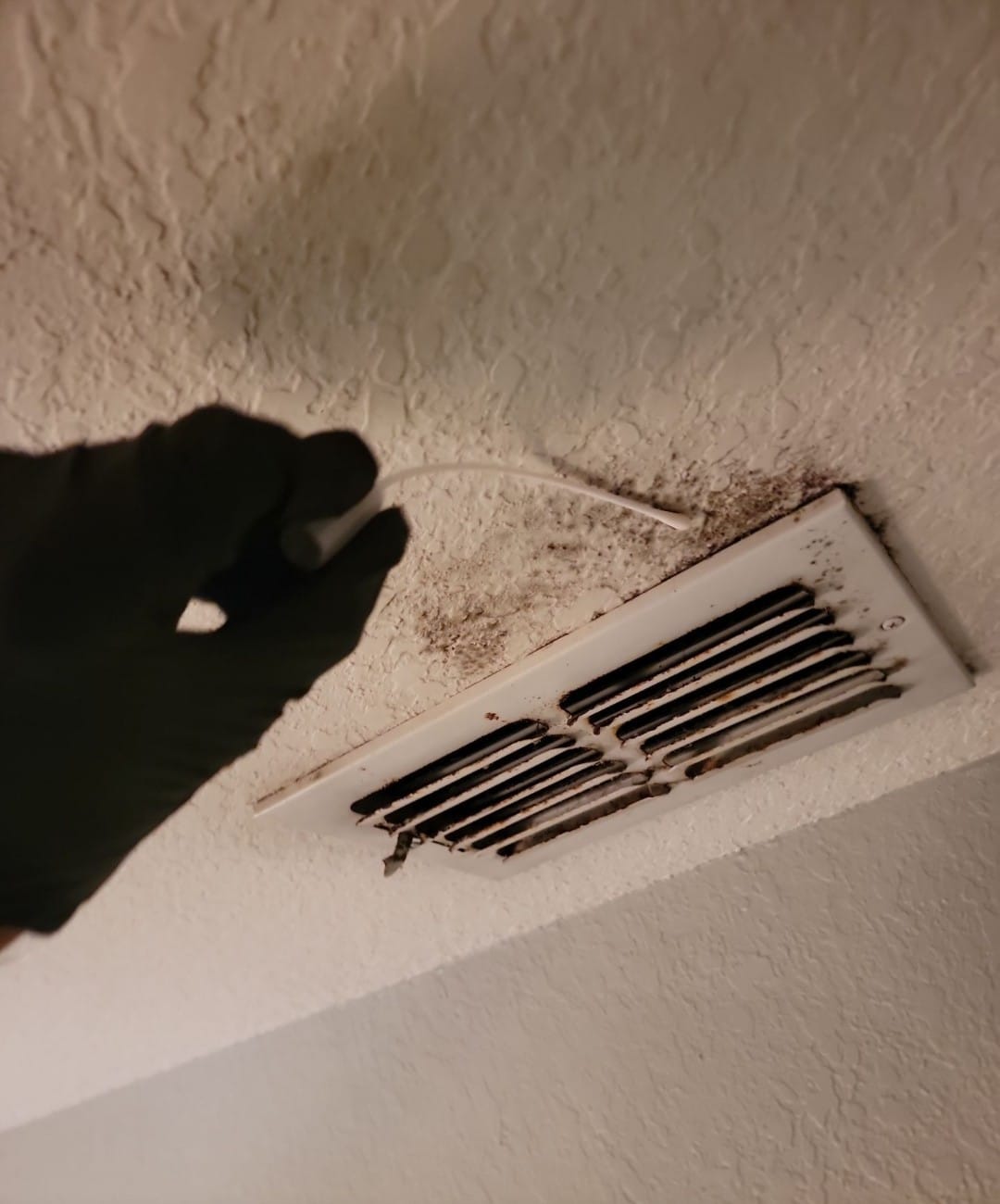 Black,Mould,On,Wall,Closeup.,House,Cleaning,Concept