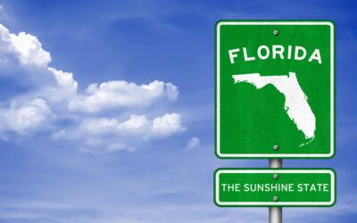 Florida Mold Laws Explained: What Every Homeowner Should Know