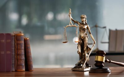 Florida Mold Laws for Landlords: What Every Property Owner Should Know