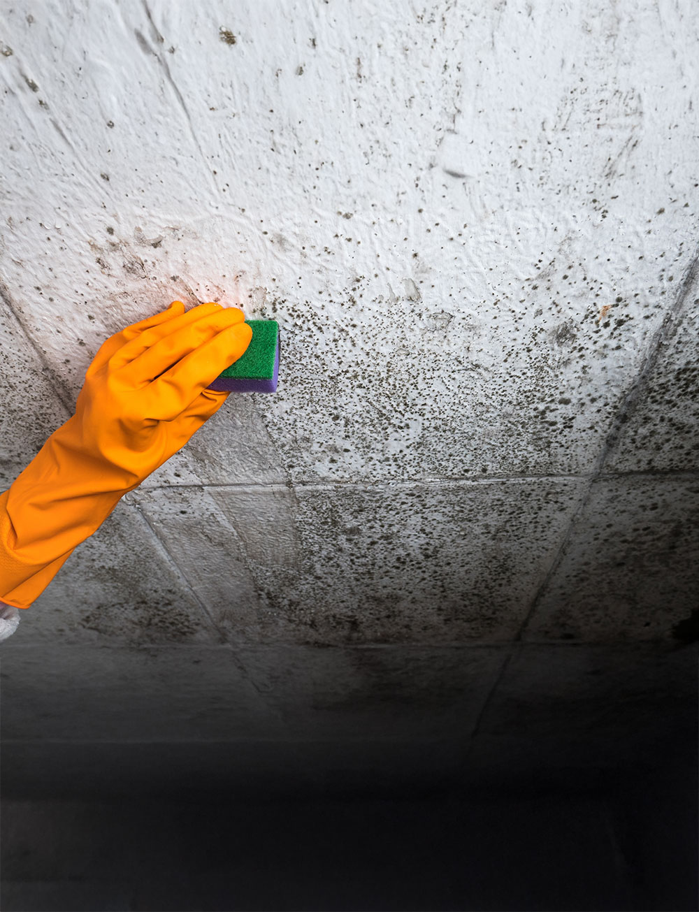 Black,Mould,On,Wall,Closeup.,House,Cleaning,Concept